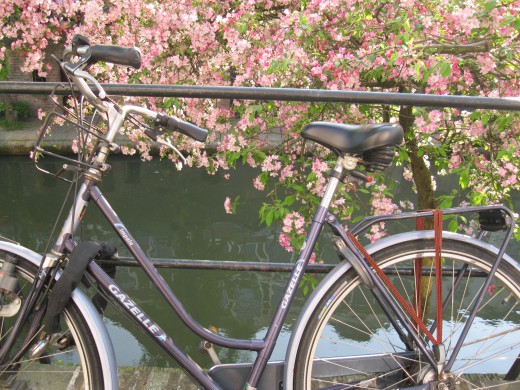 Biking in Amsterdam