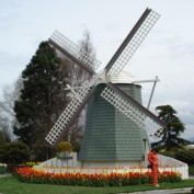 vanman2010 profile image