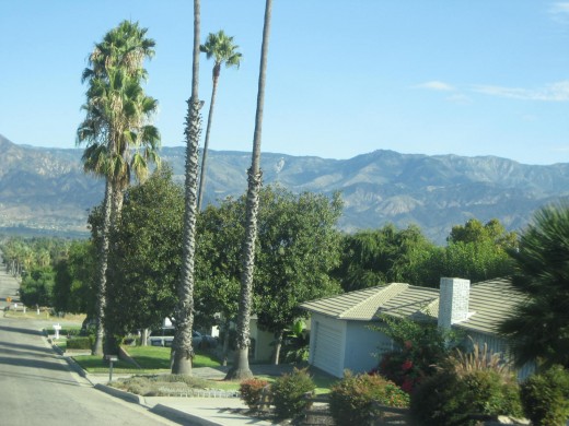 The San Bernardino Mountains
