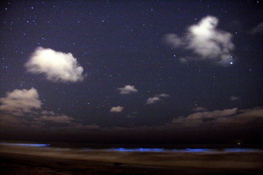 Red Tide Starry Night by Msauder