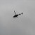 The helicopters circled the area for several days.
