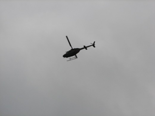 The helicopters circled the area for several days.