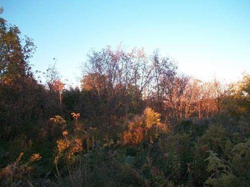 Rouge Park, Ontario