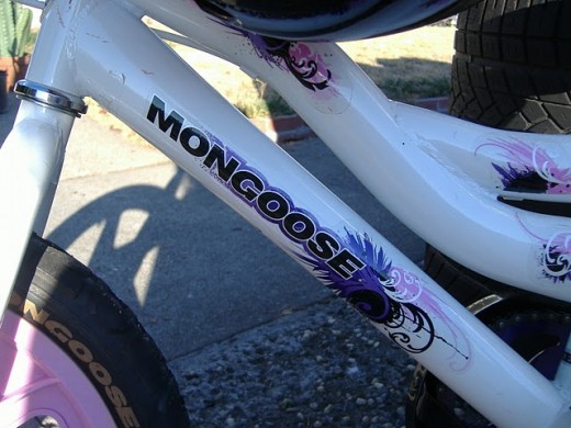 My grand-daughters bike that I sold on Craigslist.