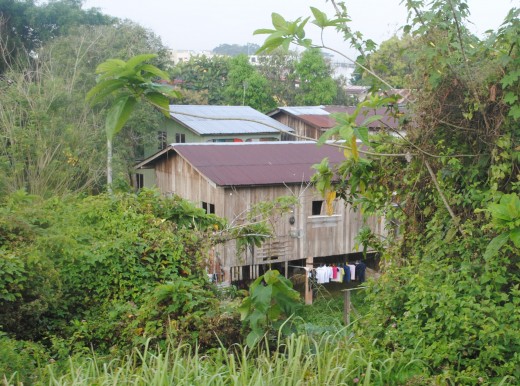 Malay houses in a village along our route.
