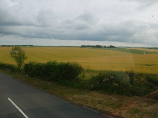 Guiness grows their hops down the road from Stonehenge