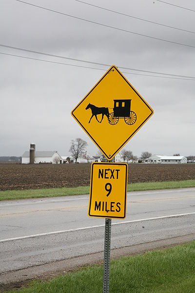 Amish country near Arthur, Illinois
