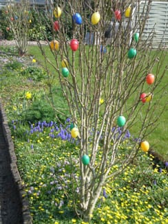 An Easter Tradition I grew up with: Hand-colored eggs on branches! We had them in the 'Haus'.