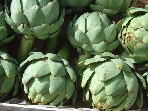 Artichokes look magnificent on the plate