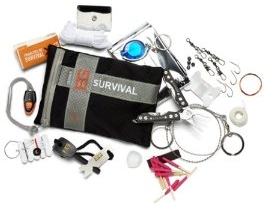 No one survives like Bear Grylls .
