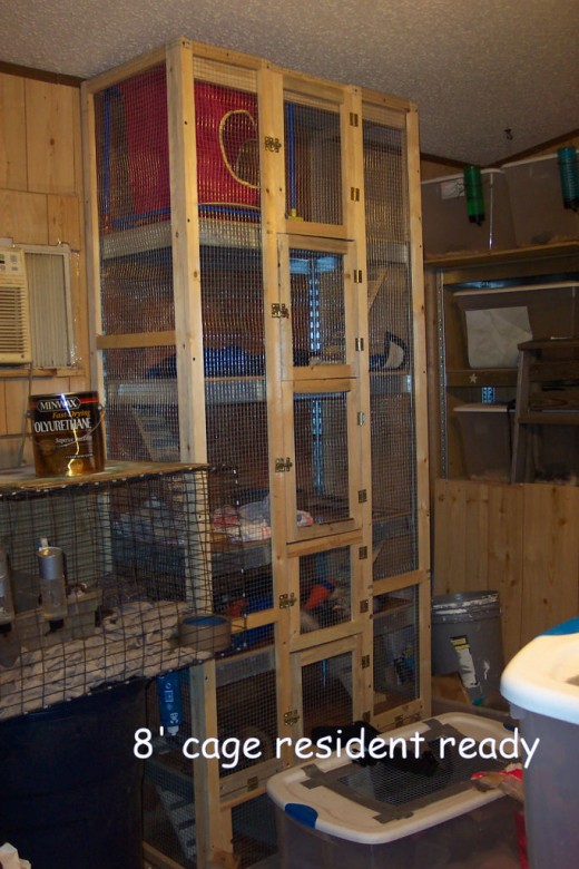 Possible Cage for a Shed or Spare Room.