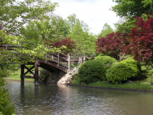 Photo 4 - Pretty Bridge and water and trees.