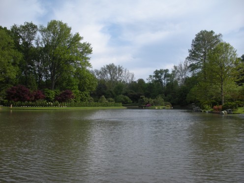 Photo 1- Big pond and garden area.  Ducks often come here, and there are many koi fish, etc.
