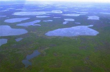 Thermokarst lakes in the tundra