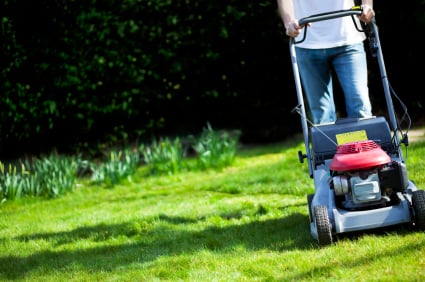 Mowing grass kicks up grass seed, a common seasonal allergy