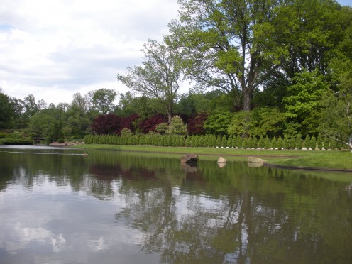 Photo 5 - Reflections of trees in the water.
