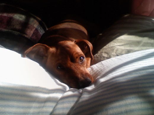 why worry your day away when you can just sleep....