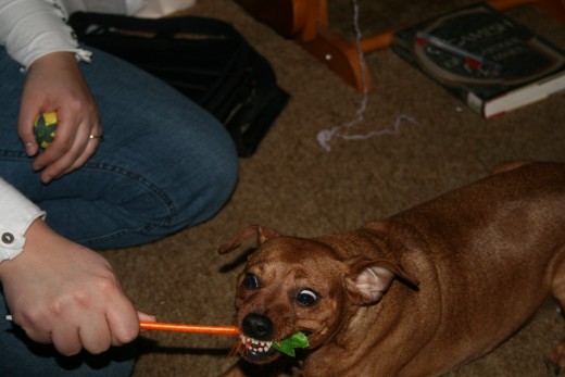 And Play