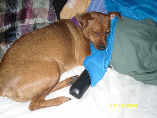 and sleep some more...