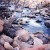 Oak Creek Oak Creek