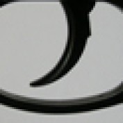 uscca profile image