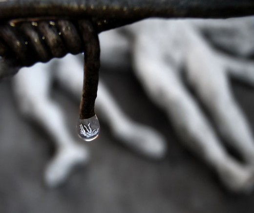 The refraction of The Holocaust Memorial at the California Palace of the Legion of Honor, San_Francisco in a dew drop. It was a refraction in a dew drop, but to me it looked as a refraction in a tear.