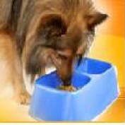 PetGuide profile image