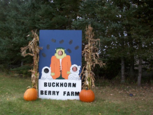 Following three photos from Buckhorn Farm near Peterborough, Ontario