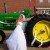 The Bride Thinks My Tractor Is Sexy