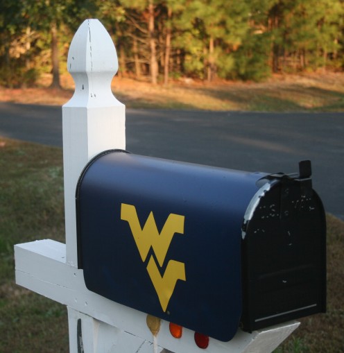 Lots of collegiate & professional sports magnetic mailbox covers are available online. 