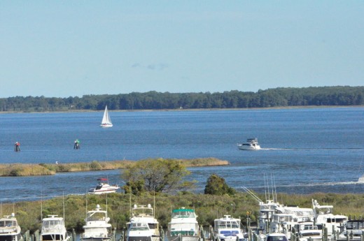 The Chesapeake Bay