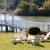 Outdoor seating and eating areas are popular. This one is in between a cluster of gazebos. View to the right is shown here. Next photo shows view to the far right. 