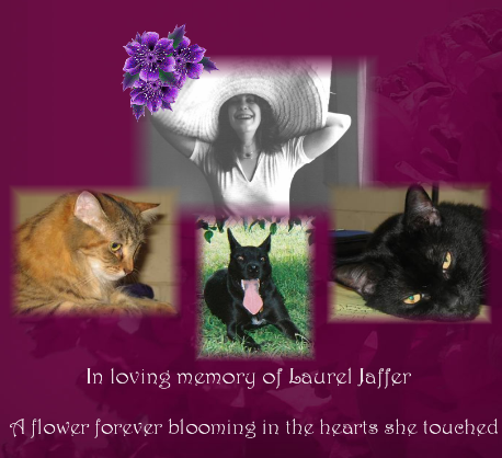 Image created by one of Laurel's Catster friends for everyone to put on their profiles.