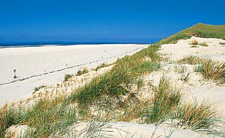 Amrum's white beaches are perfect for those that like the tourist style vaccation. And the island is literally within walking distance!