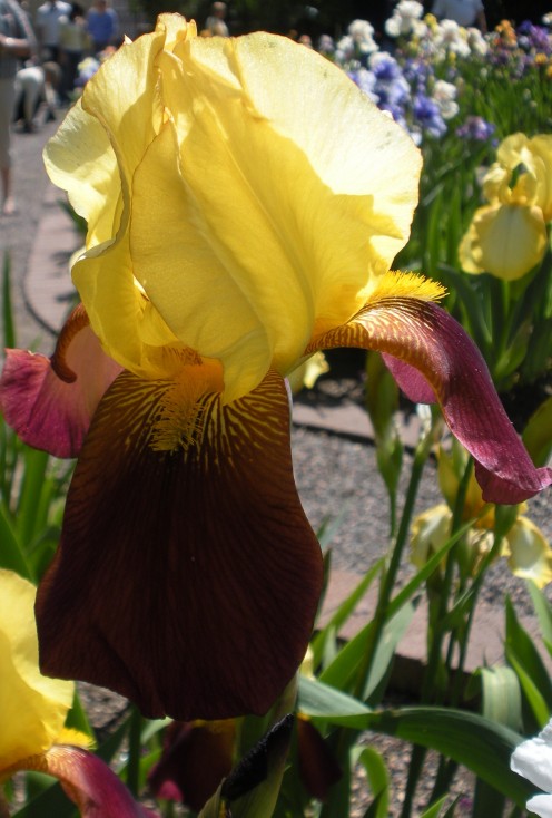 Photo 3