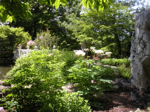 Photo 8 