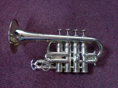 A Piccolo Trumpet. Christmas tree ornamets are available as a number of musical instruments and are some of my favorites. 