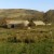 Tyneham farm, Dorset Tyneham farm, Dorset