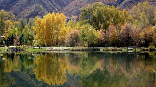 Reflection