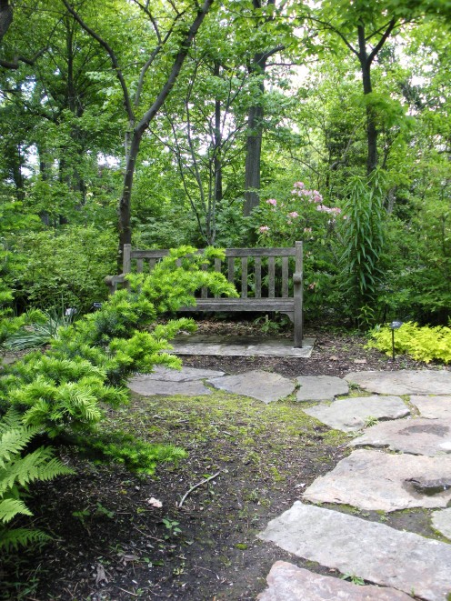 If you look in the distance, behind the bench, you will see some rhododendrons blooming in this garden.