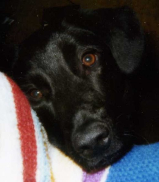 Fred