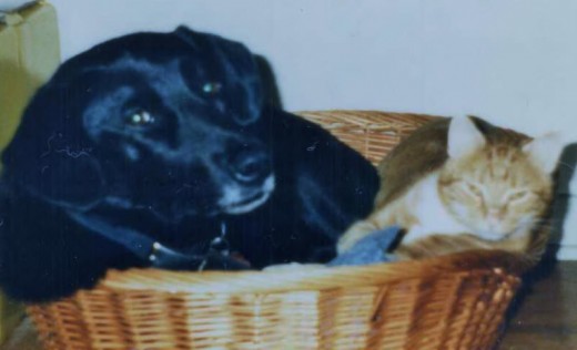 Fred with Zeke