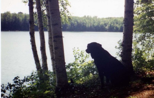 Fred at Moccasin Lake