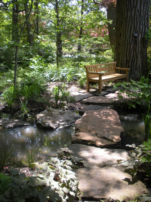Photo 9 