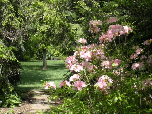 I would love to have this in my own backyard.