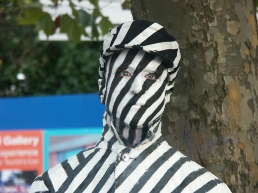 Zebra Man