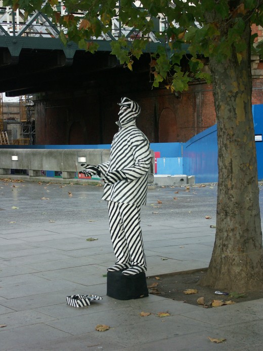 Zebra Man