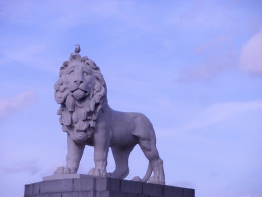 Lion statue in London, England
