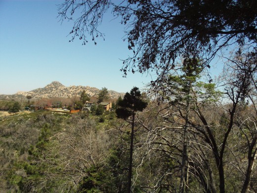 The Pinnacles with the view of the trees to the side.