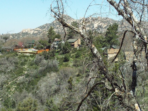The Pinnacles are obscured by trees in this photo.